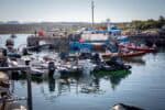 2025 Inishbofin RIB Run: A Triumph of Community and Charity @ RIBs ONLY - Home of the Rigid Inflatable Boat