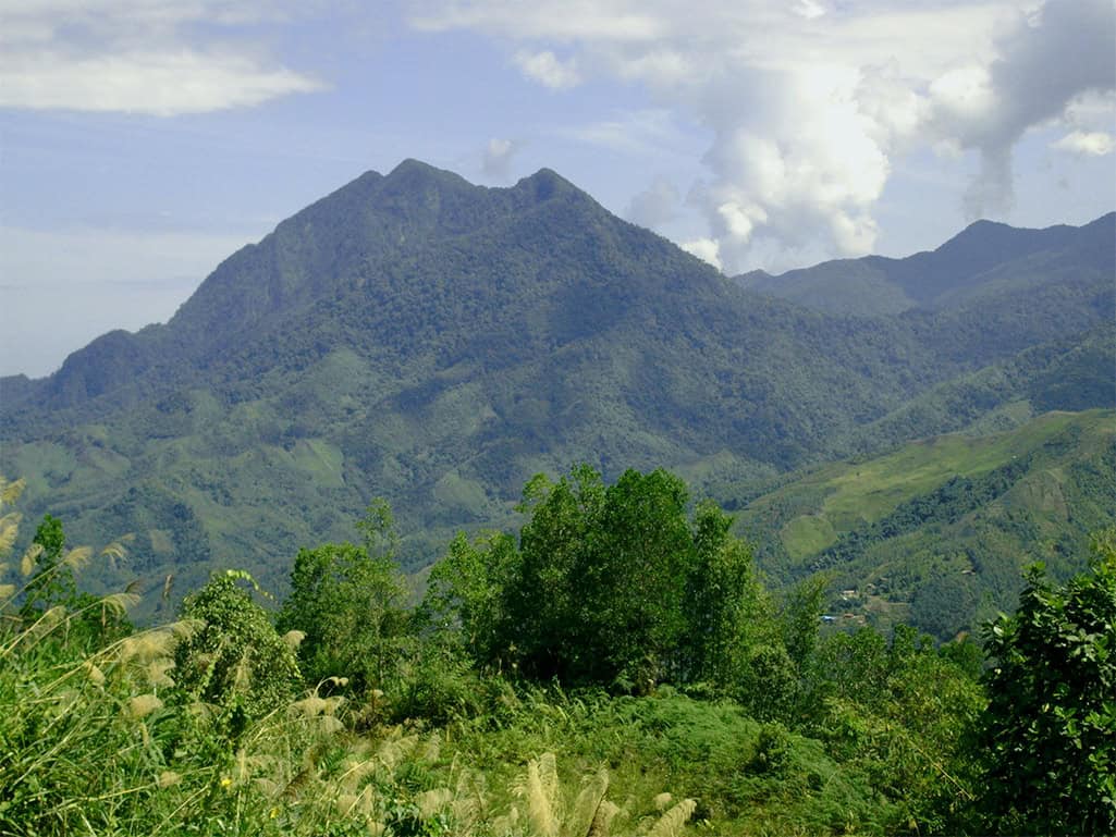 Il Borneo malese: la maestosità della foresta del Kinabalu