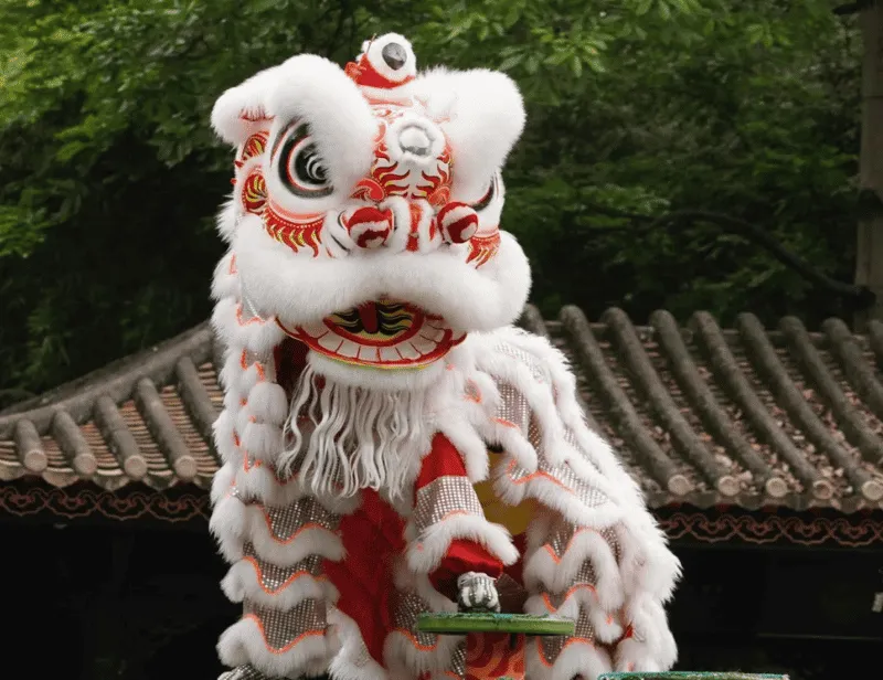 Traditional lion dance performance in Wuyi, a key part of Lingnan culture.