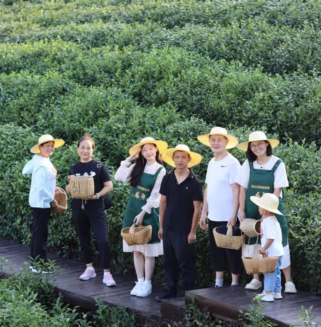 A group of people harvesting tea leaves in a lush green tea plantation in Taishan, Guangdong, preserving traditional farming practices.