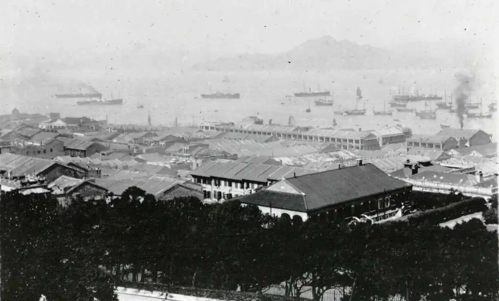 Panoramic view of Hong Kong harbor in the 1890s showing multiple steamships at anchor with Victoria Peak in the background, where thousands of Chinese emigrants began their journey to North America