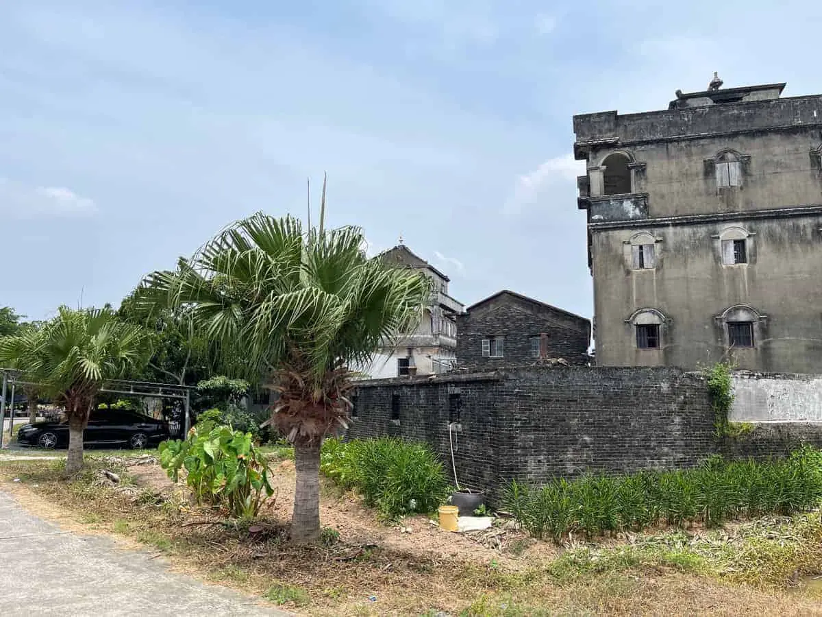 Village houses and fields of a Taishan qiaoxiang village, representative of the Wuyi emigrant countryside