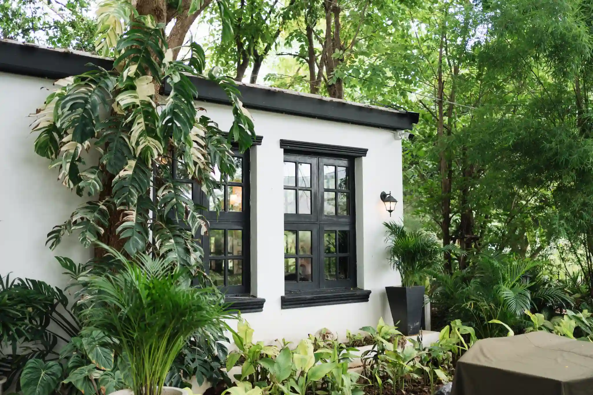 White building with black windows surrounded by lush green plants and trees.