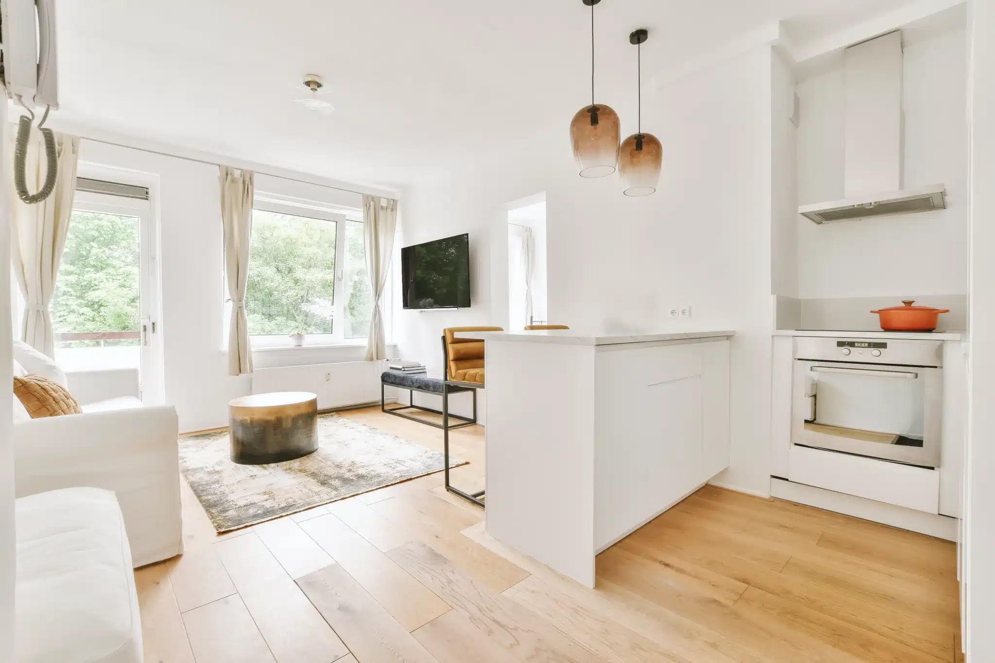 Bright, modern studio apartment with living area and kitchen