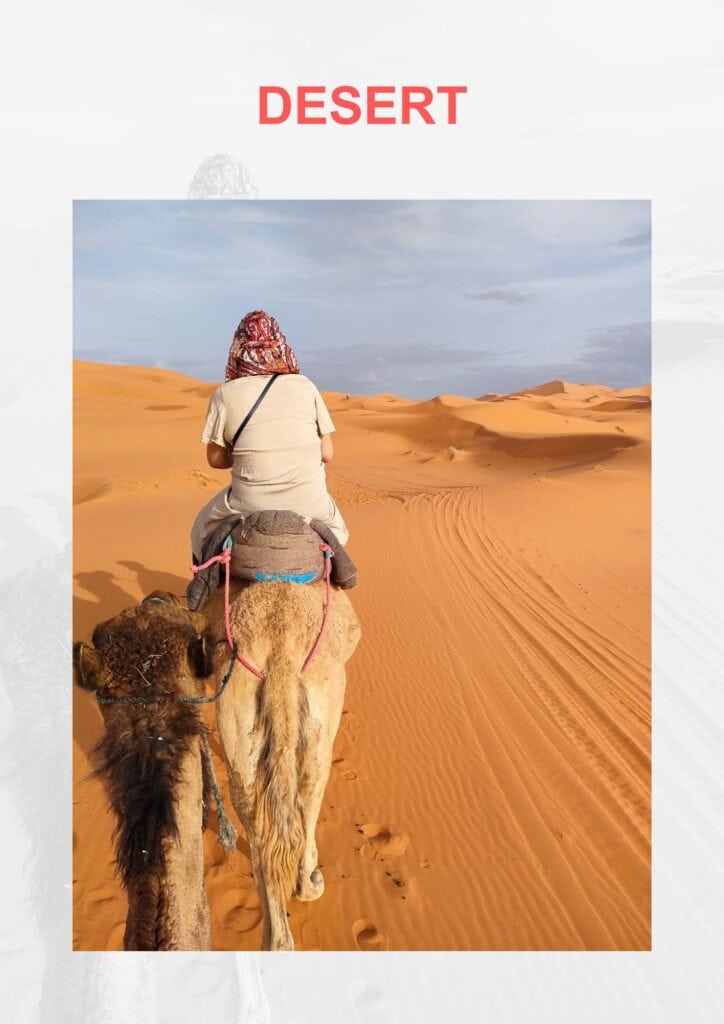 A person rides a camel through the vast, sandy dunes of a desert, under a clear sky, embodying the essence of adventure and exploration in a vast, arid landscape.