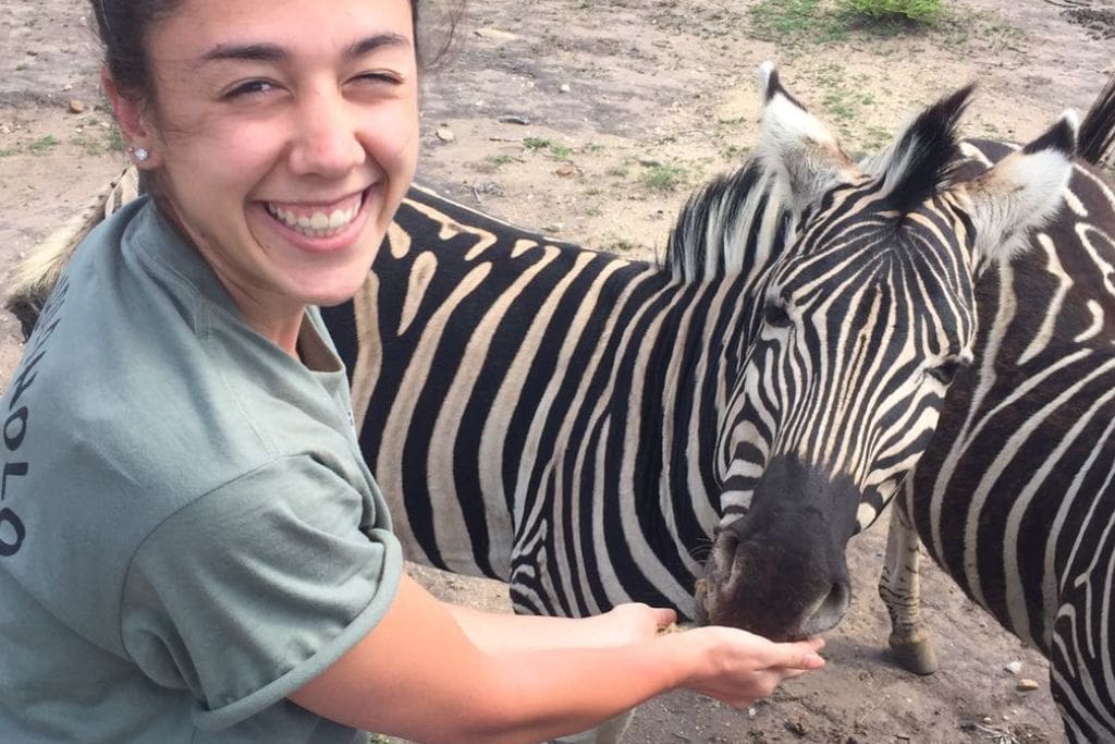 Smiling Giorgy in a khaki shirt extends her hand to feed a Zebra, its striking black-and-white stripes creating a stark contrast with the surrounding earthy tones.