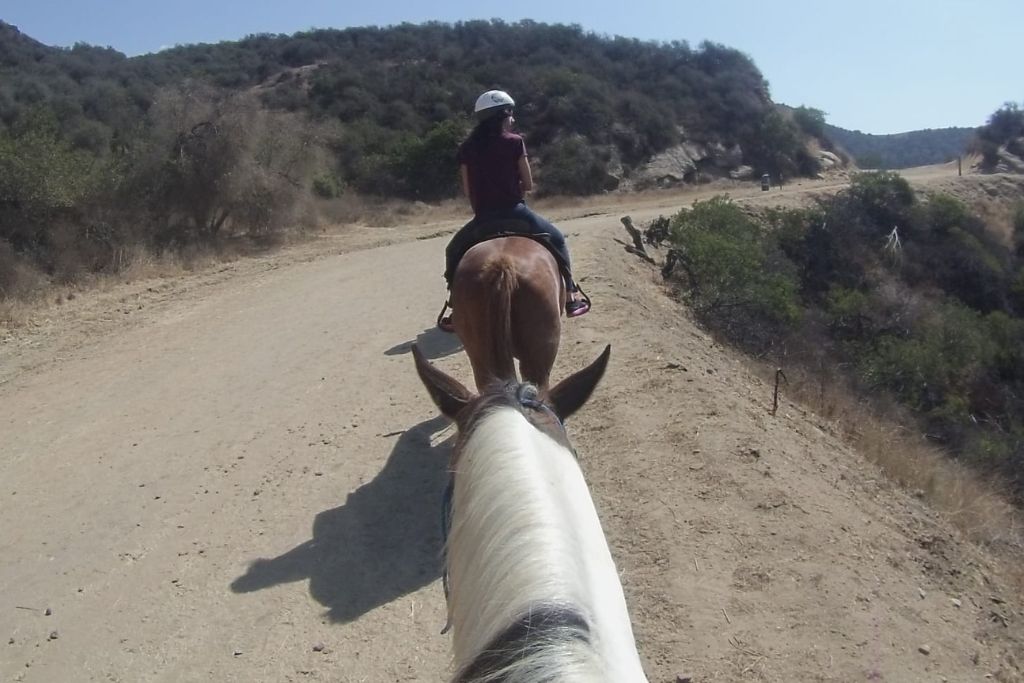 First-person view of horseback riding on a dusty trail, evoking animals that symbolize friendship through the bond between horses and riders.