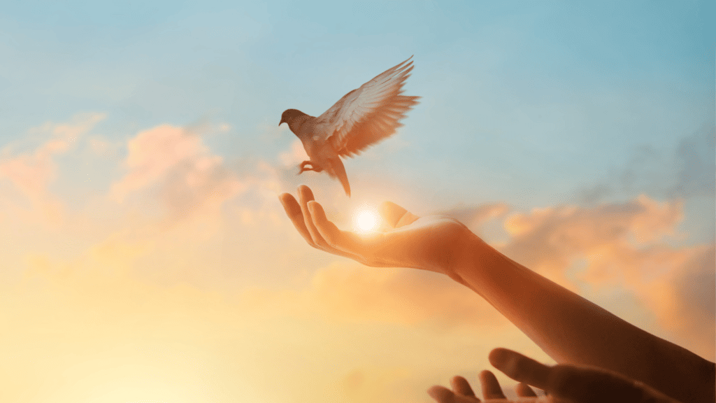 Cedar Waxwing Spiritual meaning An open palm reaches towards the sky, releasing a bird into the golden sunrise, symbolizing peace and hope, with the bird’s silhouette hinting at a Cedar Waxwing, which symbolizes gentle self-assertion and the beauty of life's journey.