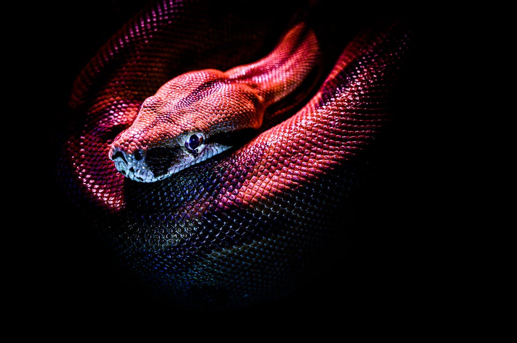 The snake represents a powerful spirit animal, embodying transformation, intuition, and wisdom in the natural world. Image used for the article spirit animal of october.