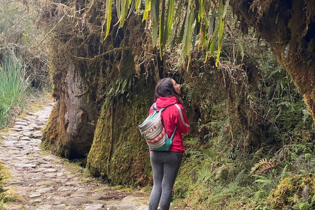 A traveler with a red jacket and a traditional patterned backpack is standing on the ancient Inca stone pathway, looking up at the lush, moss-covered trees. The natural beauty of the Inca Trail is highlighted by the old stone path curving gently into the verdant foliage.