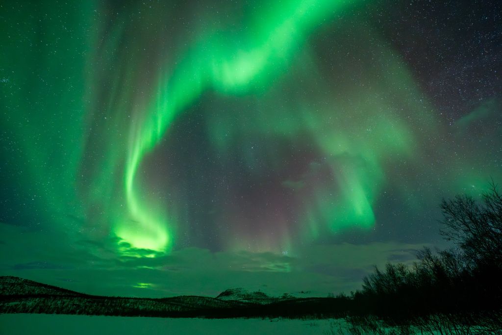 How to Plan a Trip to See Aurora Borealis? My Personal Experience on Spotting Magical Northern Lights in 2026! This is a stunning photo of the aurora borealis, or northern lights, shimmering in the night sky. The vibrant green hues curve and wave dramatically across the expanse, contrasted beautifully against a starry backdrop. Below, the snowy landscape and dark silhouettes of trees add a serene, almost otherworldly atmosphere to the scene. It's a fantastic capture of one of nature's most spectacular displays. If you have specific questions about the northern lights or need tips on photographing them, feel free to ask!