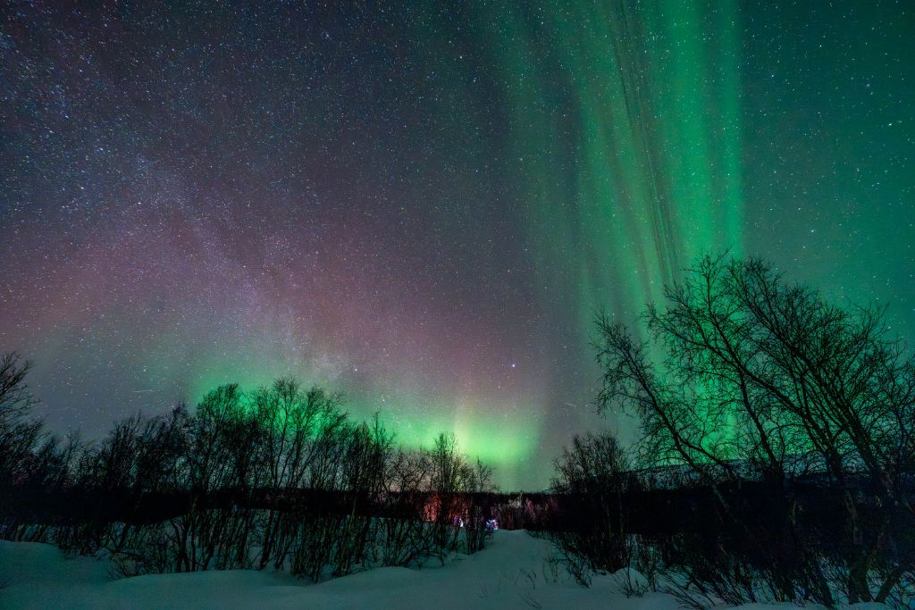 How to Plan a Trip to See Aurora Borealis? My Personal Experience on Spotting Magical Northern Lights in 2026! In this photo, you've captured another beautiful scene of the aurora borealis with a subtle variety of colors blending into the night sky. This image features a wider range of hues, with green merging into a soft pink near the horizon. The trees in silhouette provide a fantastic contrast and depth to the composition, enhancing the visual appeal of the auroras overhead. The starry sky adds another layer of depth, making this image a captivating look at the celestial dance of the northern lights. If there's anything specific you would like to know or discuss about this image or the northern lights, just let me know!