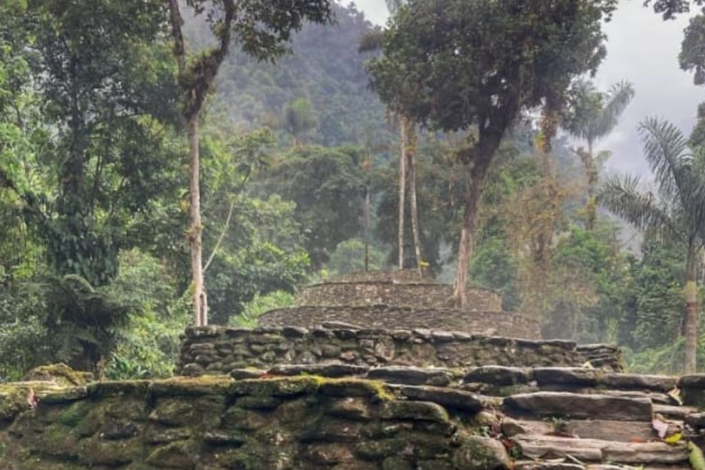 How to Get to the Lost City Colombia? My Personal Experience in 2026! The ancient stone terraces of Ciudad Perdida are partially covered with moss and surrounded by dense jungle, with tall trees and lush greenery.