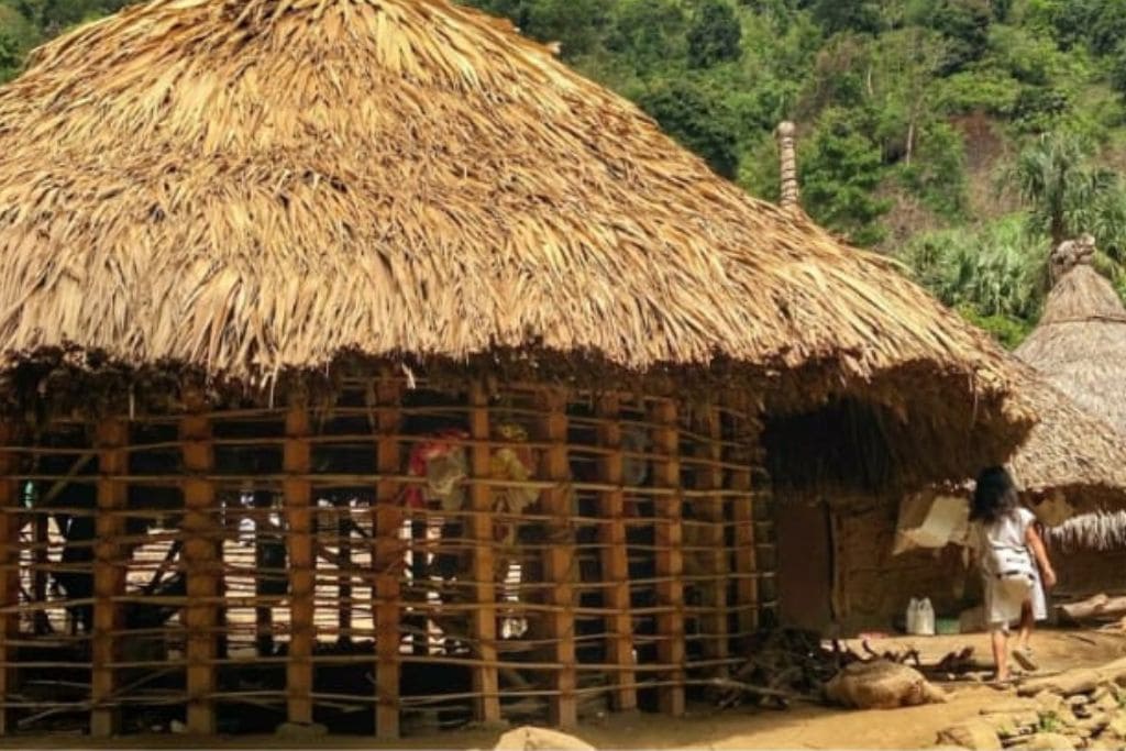 How to Get to the Lost City Colombia? My Personal Experience in 2026! A traditional indigenous hut with a thatched roof and open sides, belonging to the Kogi or Wiwa communities, situated in a lush green area with a person standing near the entrance.