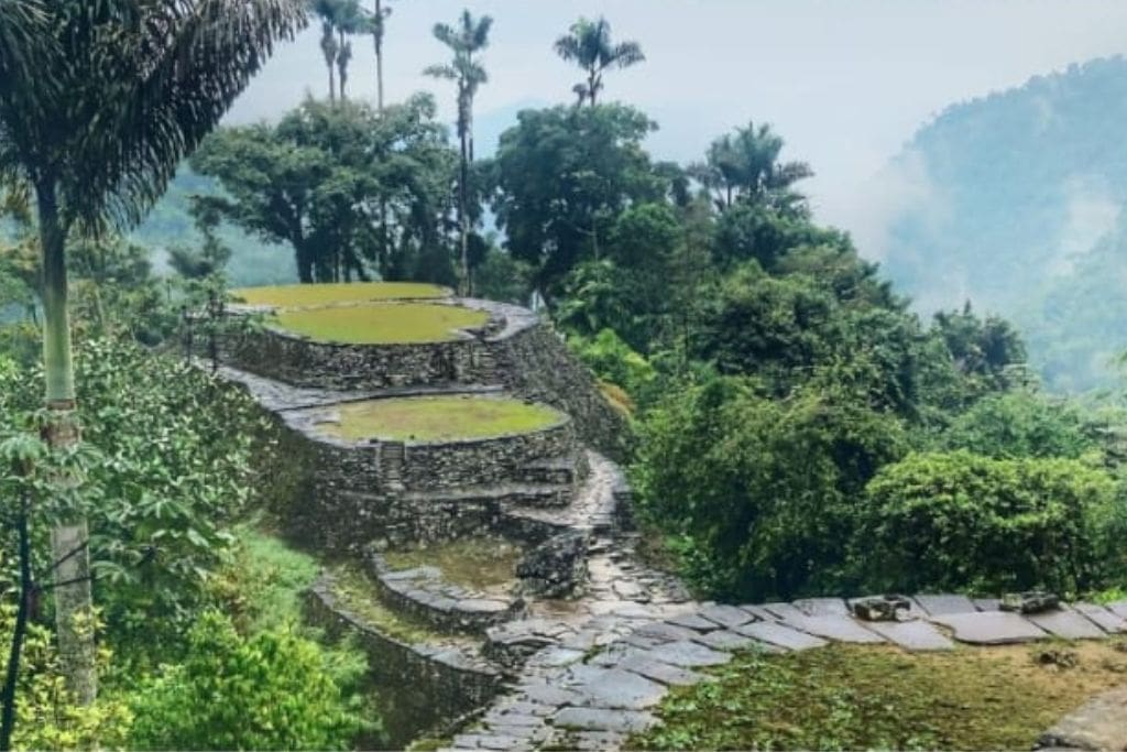 How to Get to the Lost City Colombia? My Personal Experience in 2026! A view of Ciudad Perdida’s stone terraces, blending with the verdant forest and tall palms, under a misty sky in the Sierra Nevada de Santa Marta.
