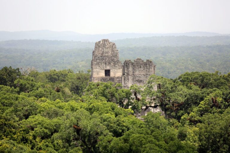 The image depicts an ancient stone temple towering above a lush, dense rainforest. The temple's large, block-like structure stands out distinctly against the green canopy that stretches to the horizon under a hazy sky, emphasizing the contrast between human historical achievement and natural wilderness. This scene is likely set in Central America, possibly at a site like Tikal in Guatemala.