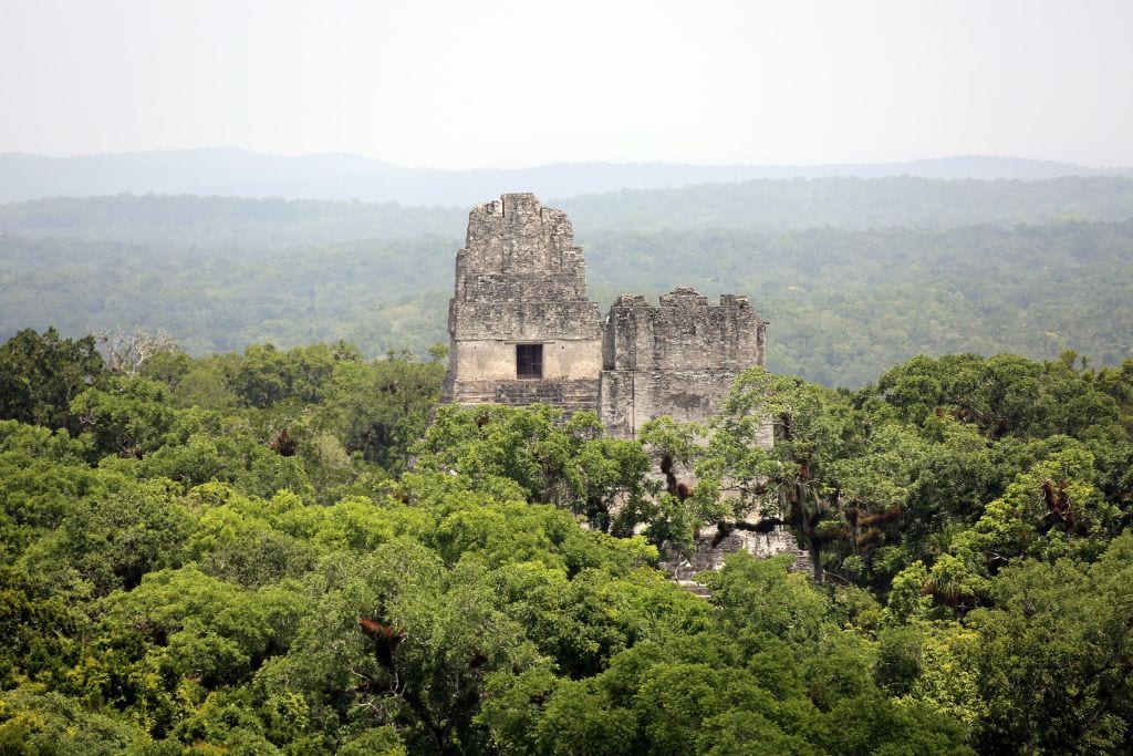 The image depicts an ancient stone temple towering above a lush, dense rainforest. The temple's large, block-like structure stands out distinctly against the green canopy that stretches to the horizon under a hazy sky, emphasizing the contrast between human historical achievement and natural wilderness. This scene is likely set in Central America, possibly at a site like Tikal in Guatemala.
