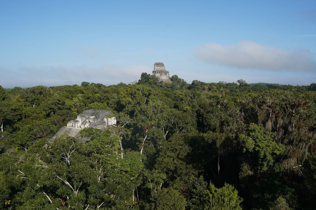 This image captures the breathtaking view of the ancient Maya city of Tikal, nestled deep within the lush rainforests of Guatemala. In the foreground, a large temple complex is partially hidden by the dense, verdant foliage, while another iconic temple rises majestically in the distance, piercing the horizon beneath a clear blue sky. This photograph not only highlights the impressive architecture of the Maya civilization but also the natural beauty that surrounds and preserves it.