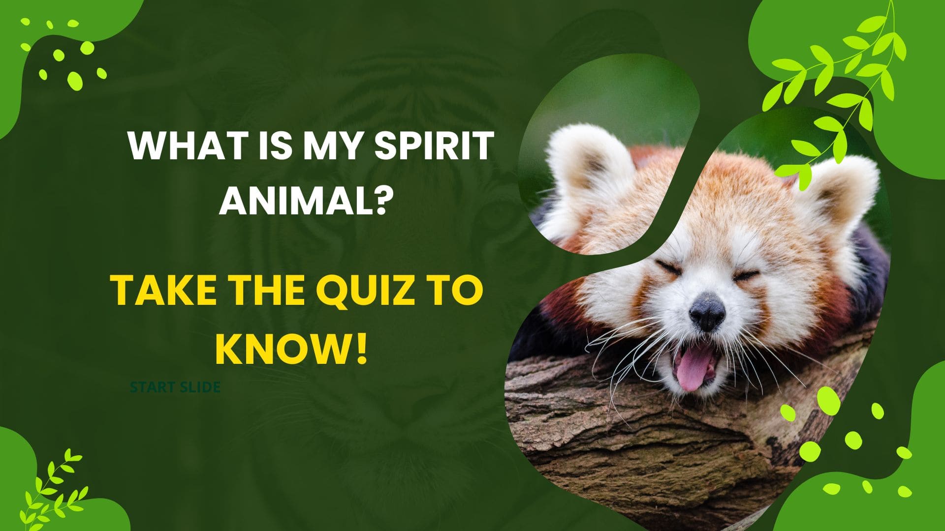 A banner with the cute panda and text reading what is my spirit animal and take this spirit animal quiz to find out, written again beautiful green backgroud