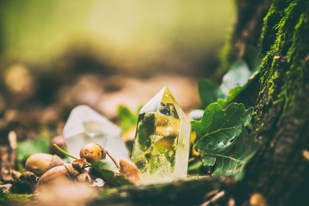 The image depicts a small clear crystal, possibly citrine or quartz, nestled on the forest floor among acorns, leaves, and moss-covered ground. The background is softly blurred, giving the scene a serene and mystical atmosphere, while the vibrant greens and earthy tones highlight the crystal’s natural setting.