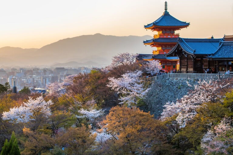 The image shows the iconic Kiyomizu-dera temple in Kyoto, Japan, bathed in warm sunset light with a backdrop of cherry blossom trees in full bloom. The ancient pagoda overlooks the cityscape and surrounding mountains, highlighting Kyoto's blend of historical architecture and natural beauty. This scene captures the essence of historical sites in Kyoto, especially during the cherry blossom season.