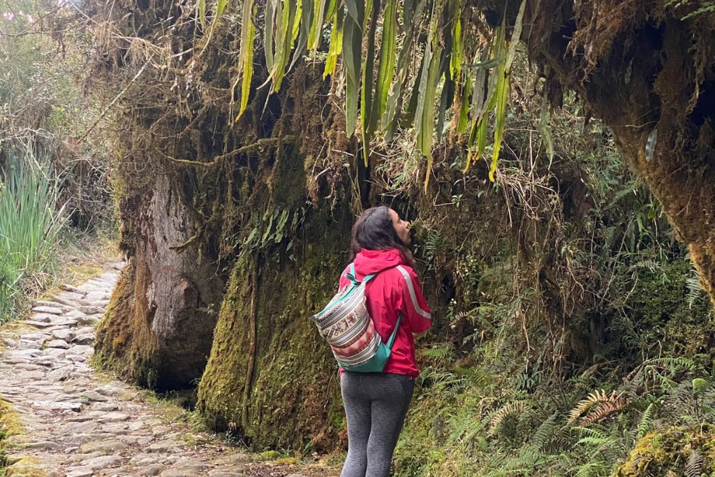 Huancabamba in Peru: Embark On A Spiritual Journey A woman wearing a red jacket and a colorful backpack stands on a stone path surrounded by lush, moss-covered trees and dense vegetation. She gazes thoughtfully at the towering foliage, encapsulating a serene and immersive moment in nature.