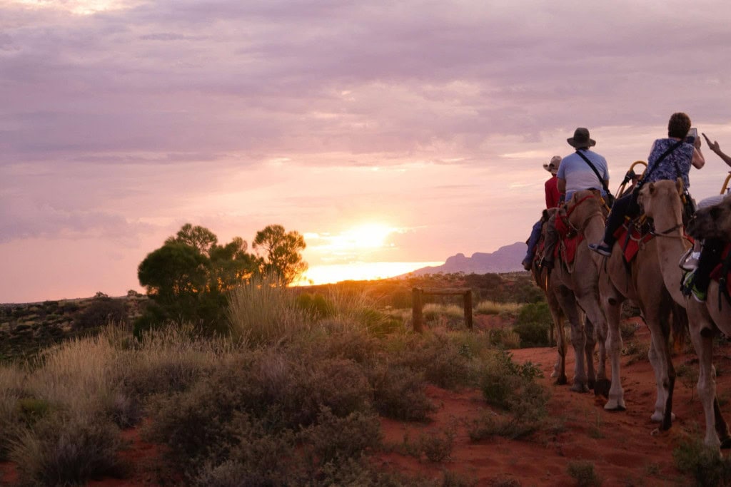 Tourists riding camels through a desert landscape at sunset, with the sky painted in soft pink and orange hues and silhouettes of trees and distant hills in the background.