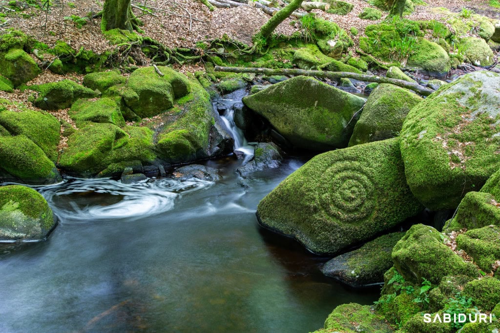 The Celtic Wheel With Sabiduri: Walk in the Truth A serene forest stream surrounded by moss-covered rocks, with an ancient spiral carving etched into a boulder, symbolizing Ostara on the Celtic Wheel. The flowing water and vibrant green moss evoke themes of renewal, fertility, and balance, reflecting the essence of the spring equinox in Celtic tradition. The mystical setting embodies the connection between nature and ancient spiritual practices.