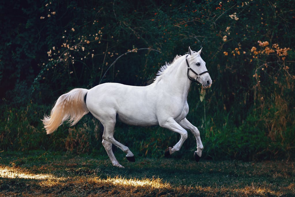 What’s the Spirit Animal for August? Image of a white horse galloping freely through a vibrant green landscape under a clear, sunny sky.