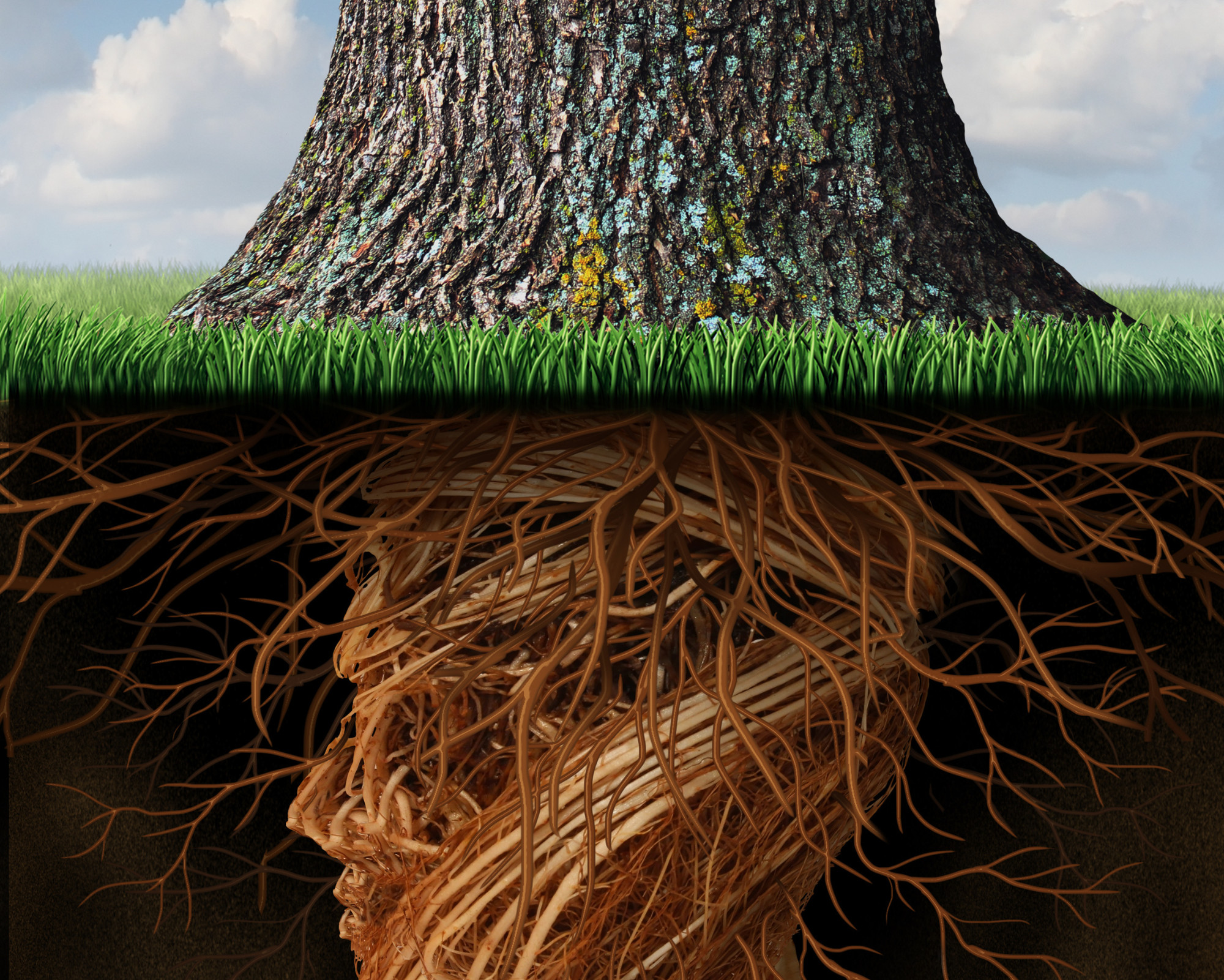 A large tree with deep, tangled roots spreading underground, symbolizing grounding and the Root Chakra’s connection to stability, earth, and inner foundation.