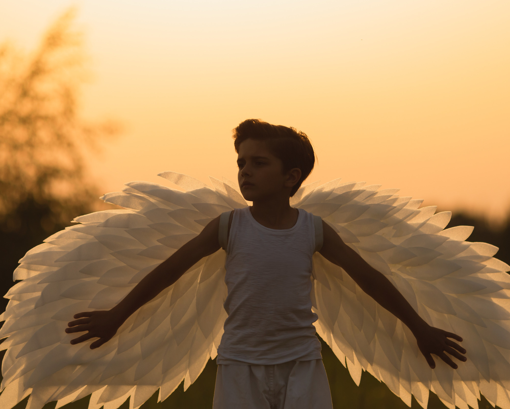 All Angel Numbers: The Guide to Angel Numbers and What They Mean A child wearing large white angel wings standing against a sunset sky, representing innocence, protection, and the spiritual messages behind all angel numbers.