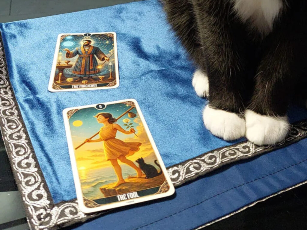 Tarot cards The Fool and The Magician on a blue cloth beside a black and white cat, reflecting the question are tarot cards accurate.