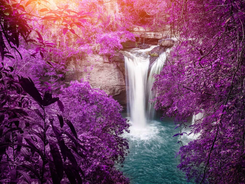 Element Water Meaning: The Spiritual Power of Emotion, Purification, and Inner Flow Element water meaning