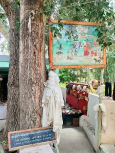 Monasteries of Ladakh: Experiencing Buddhism in the High Mountains Monasteries of Ladakh