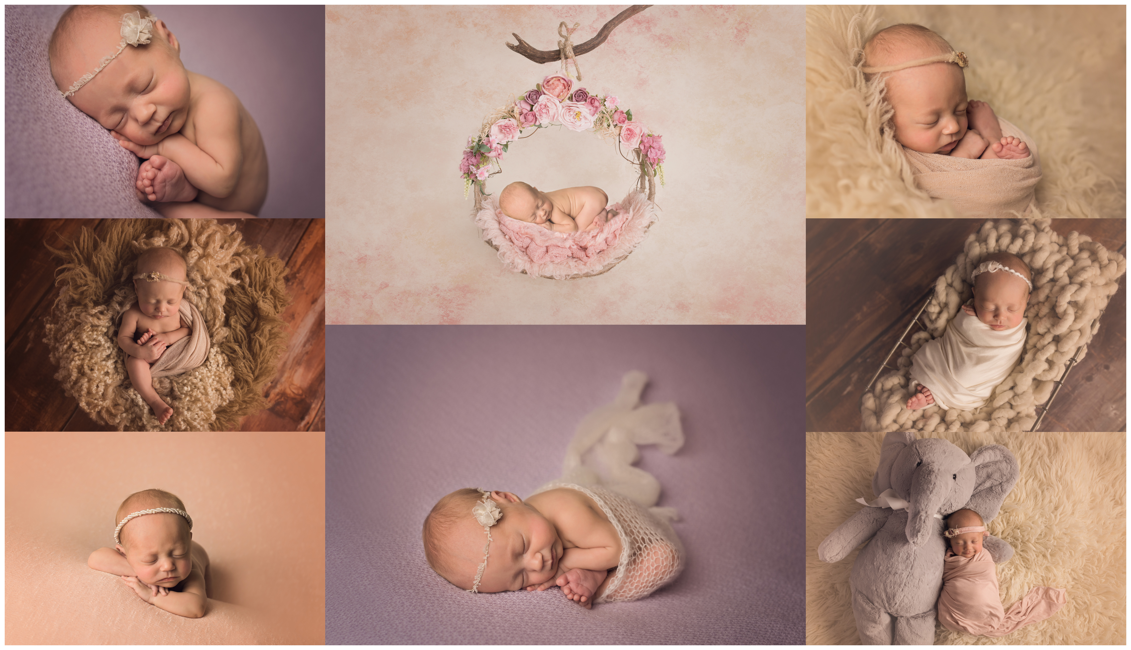 Cary Newborn Photographer Sally Salerno