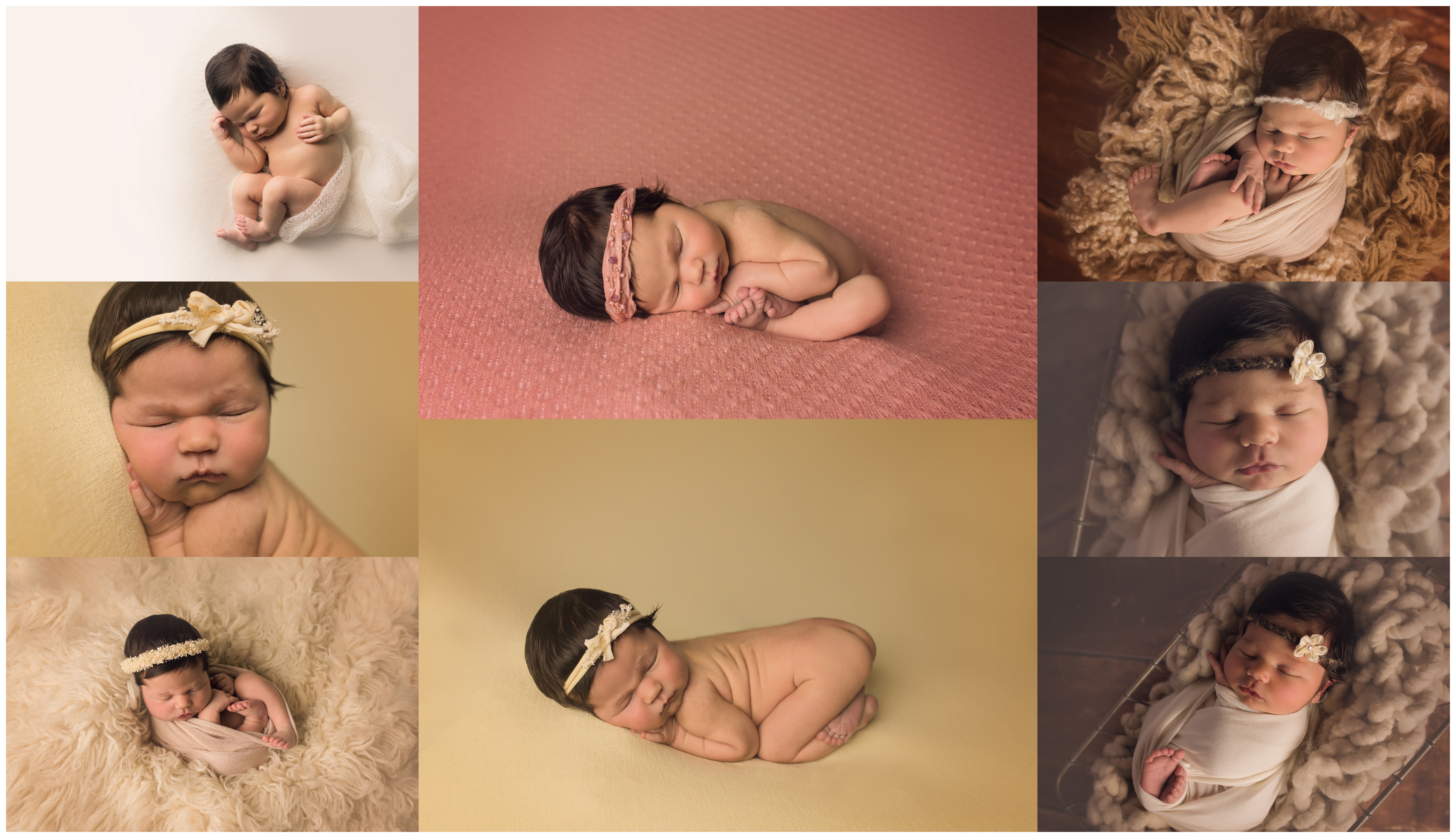 Cary Newborn Photographer Sally Salerno
