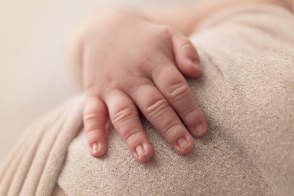 close up of newborn baby toes
