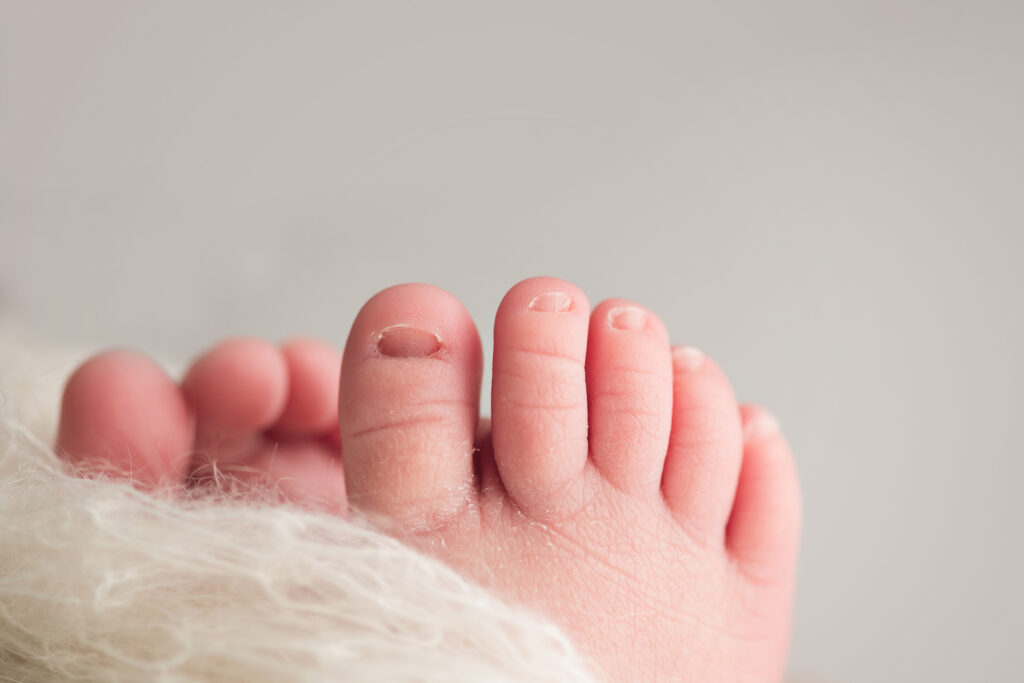 newborn babys close up hand and fingers