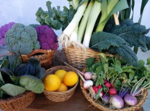 Photo of Green Girl Farms in San Pedro California. (Photo by https://www.facebook.com/greengirlfarms/)