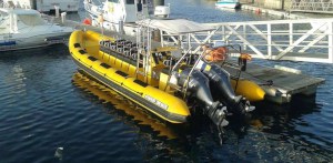 Waverider Lanzarote RIB Experience