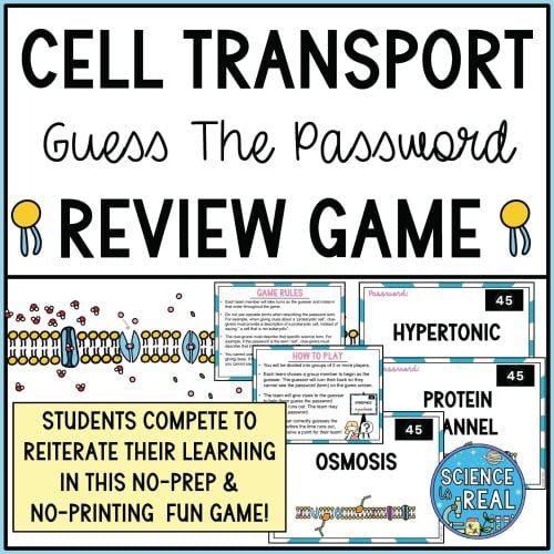 cell transport review game