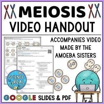 meiosis amoeba sisters video handout