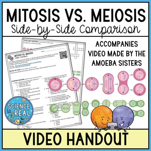 Mitosis vs Meiosis Amoeba Sisters video handout