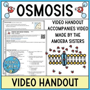osmosis amoeba sisters video handout