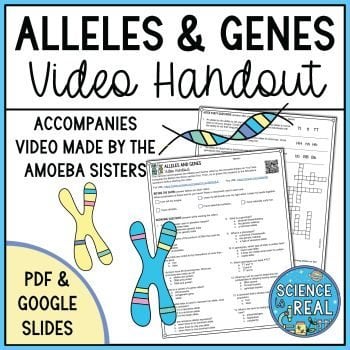 Alleles and Genes Amoeba Sisters Handout