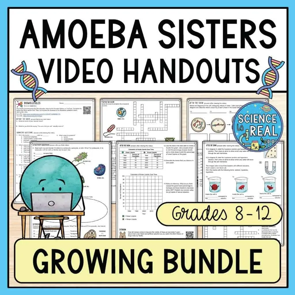 Amoeba Sisters Video Handouts