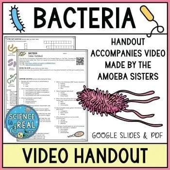 bacteria amoeba sisters video handout