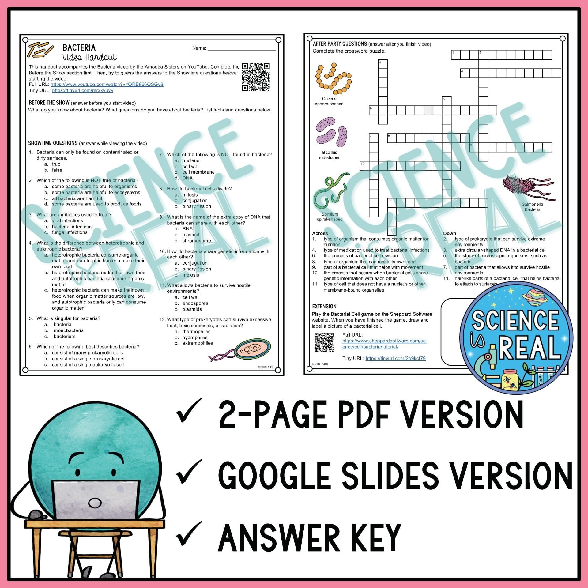 bacteria amoeba sisters video handout