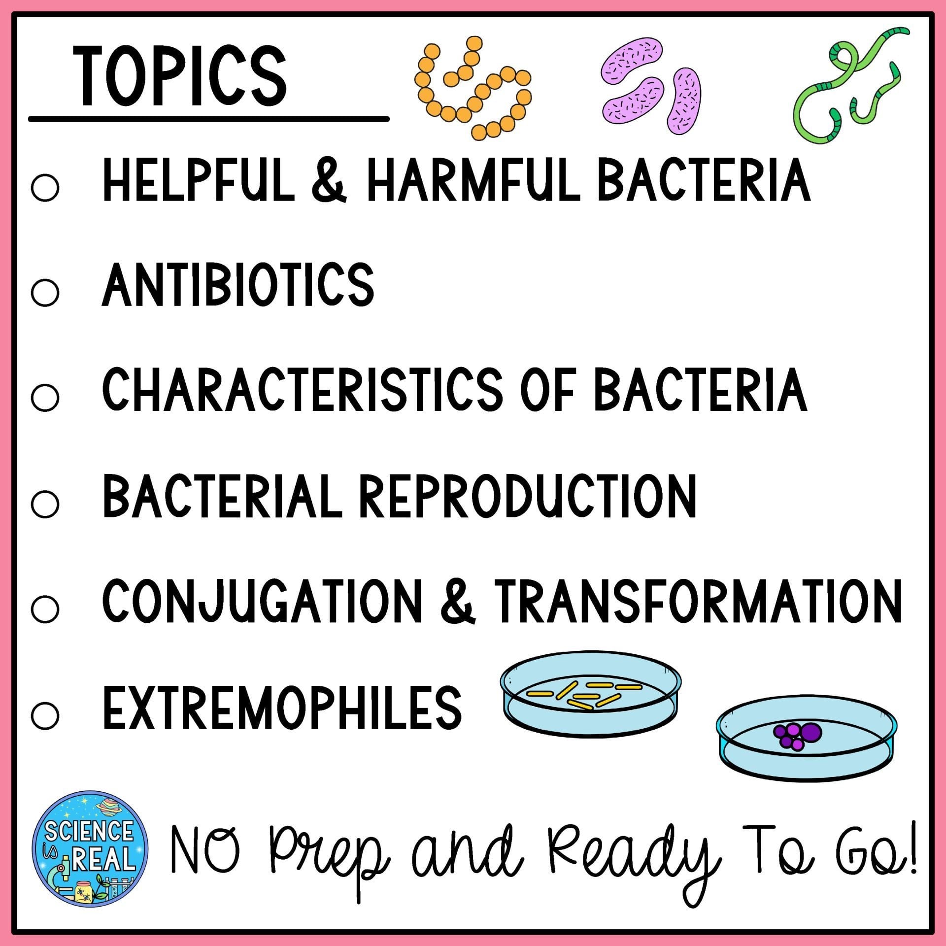 bacteria amoeba sisters video handout