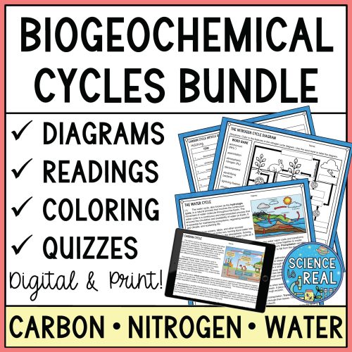 biogeochemical cycles reading comprehension